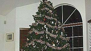 tree