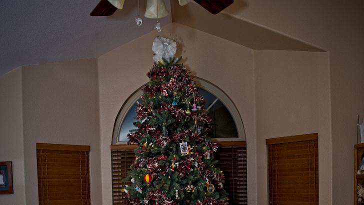 JDS_7761 2024-12-25
