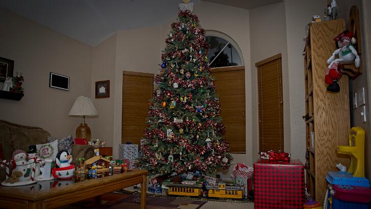 JDS_0744 2025-12-25