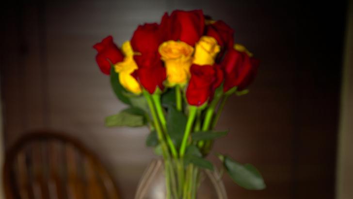 JDS_9921 2022-05-08