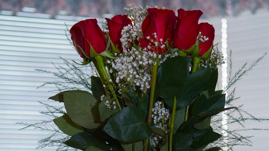 Valentine's Day - 2008