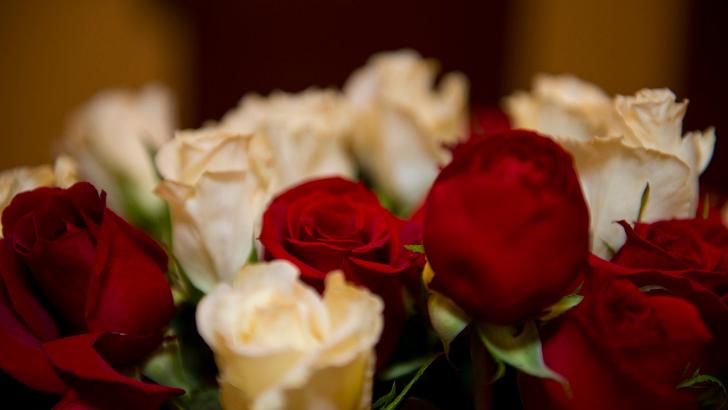 DSC_4072 2018-02-13