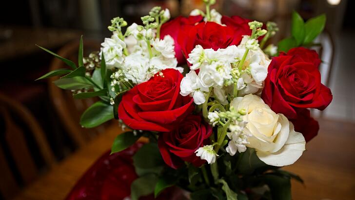 JDS_9041 2025-02-14