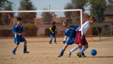 DSC_8586