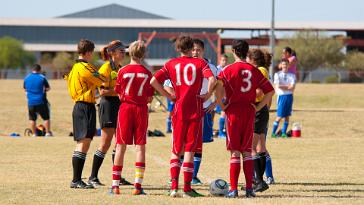 DSC_3508 11-10-29