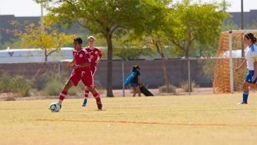 DSC_3512 11-10-29