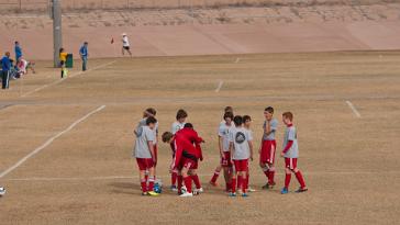 DSC_3939 11-11-12