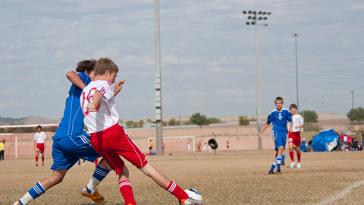 DSC_3953 11-11-12