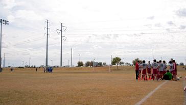 DSC_6326 11-11-12